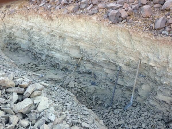 A photo of the quarry at Foum Zguid.  The Walliserops come out of the very bottom layer, which requires 1-2 meters of limestone overburden to be removed.